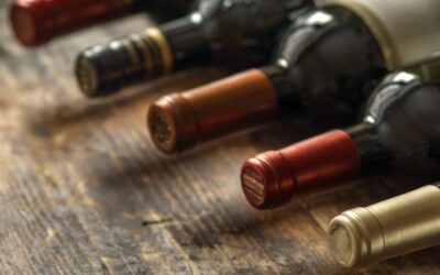 Tips to organize the best wine tasting tour in Le Marche Region