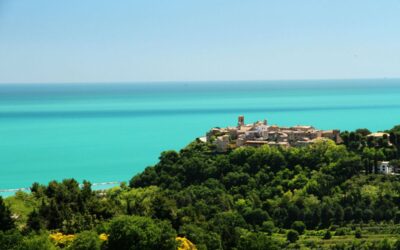 Torre di Palme: un gioiello da scoprire!
