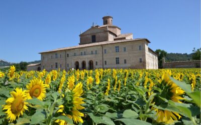 Urbania: sorprese d’arte e fantasia