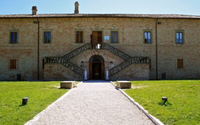 Young and grown up at the Museum of Balì
