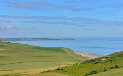 What is the best period to travel to Le Marche?