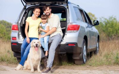 How to travel to Italy with a dog