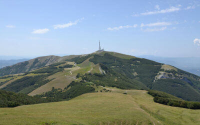 Travel idea: the Charm of Monte Nerone