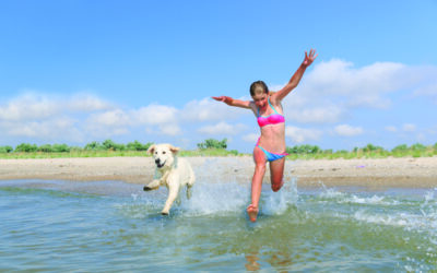 Le migliori spiagge per cani nelle Marche per un’estate pet-friendly
