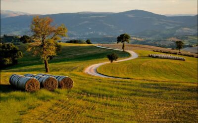 Mogliano Marche: the jewel of handicrafts