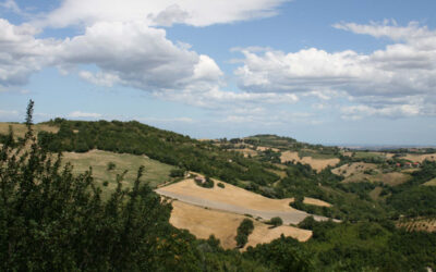 Montefelcino and the Feudal Palace