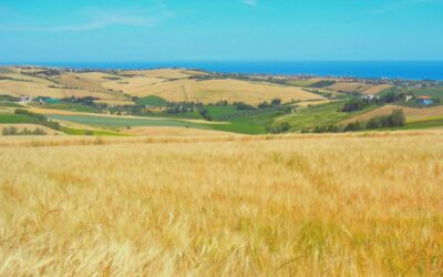 Montescudo: a small village near the sea