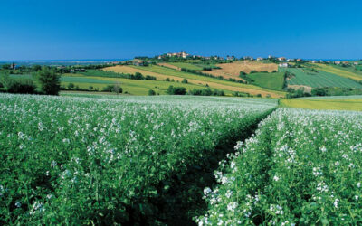San Clemente of Rimini: sea and hills