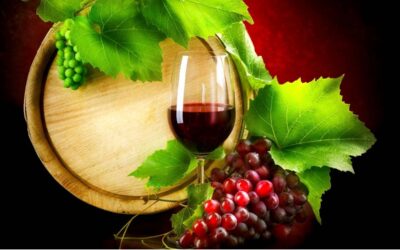 The Grape Festival in Cupramontana