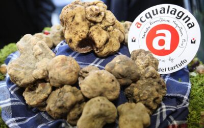 The White Truffle Fair in Acqualagna