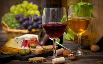 A journey through the top wines of Le Marche